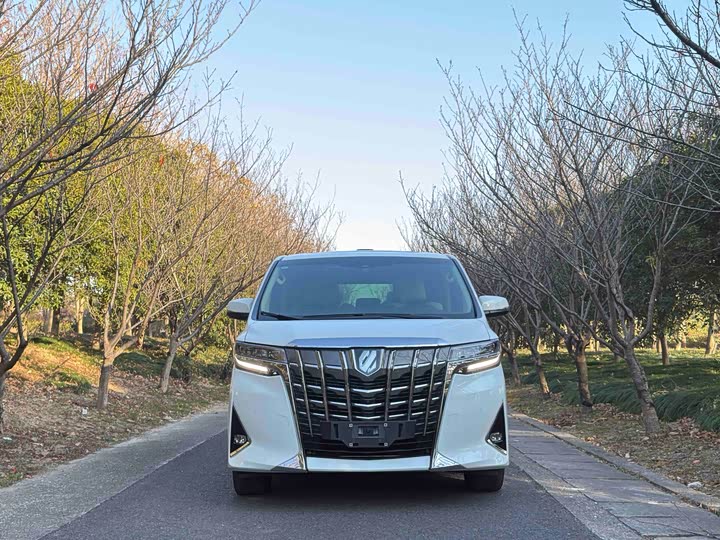 Фото 4 - Toyota Alphard