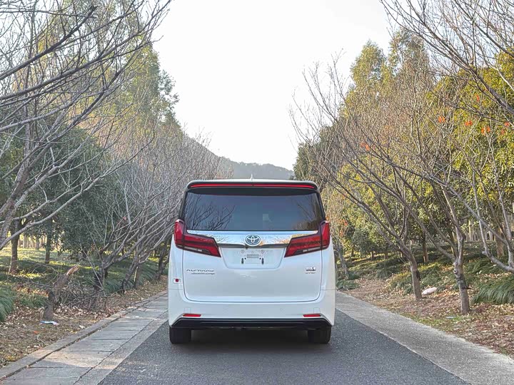 Фото 5 - Toyota Alphard