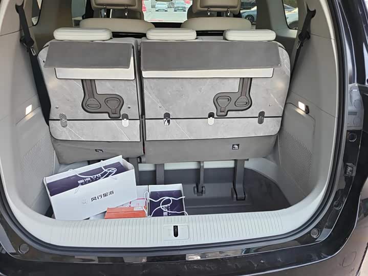 Фото 4 - Dongfeng Forthing Xinghai V9