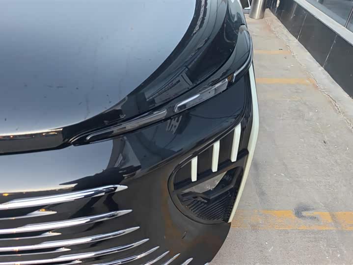 Фото 5 - Dongfeng Forthing Xinghai V9