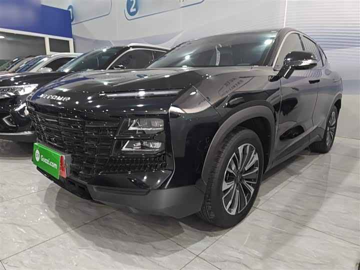 Фото 1 - Jetour Dashing