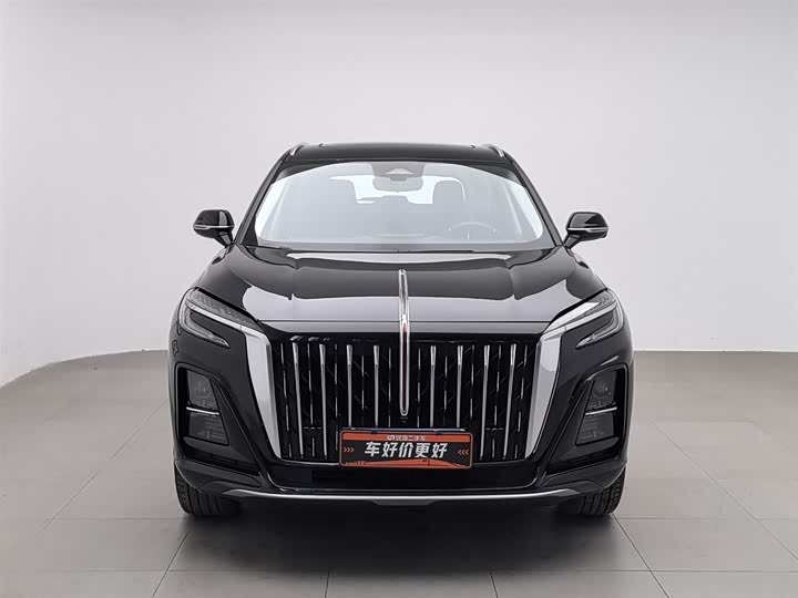 Фото 3 - Hongqi HS3