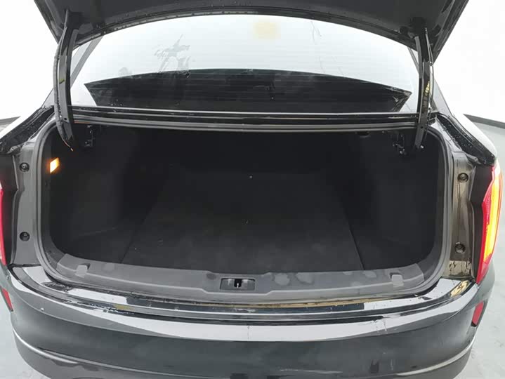 Фото 4 - Hongqi E-QM5