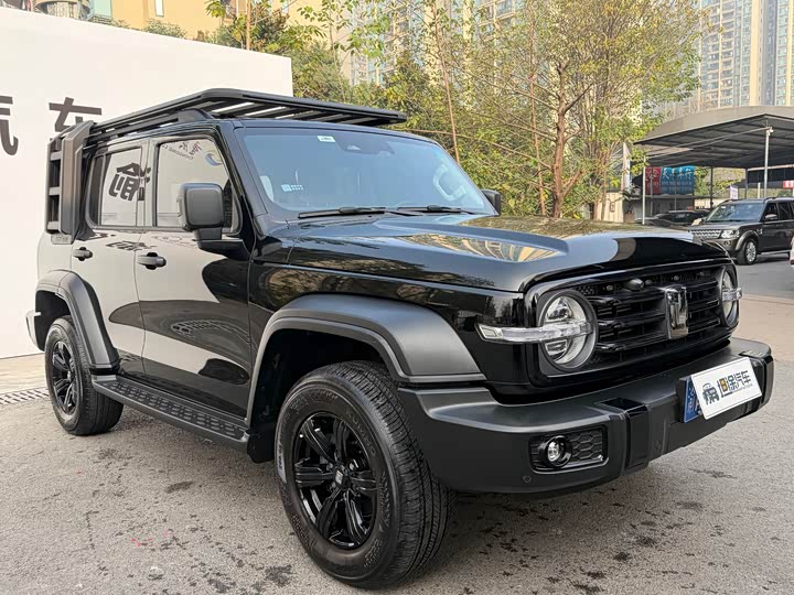 Фото 3 - Tank 300