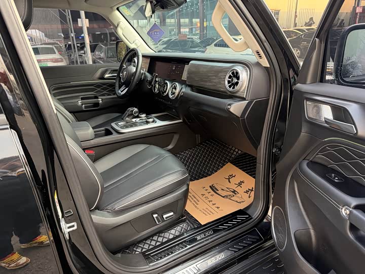 Фото 5 - Tank 300