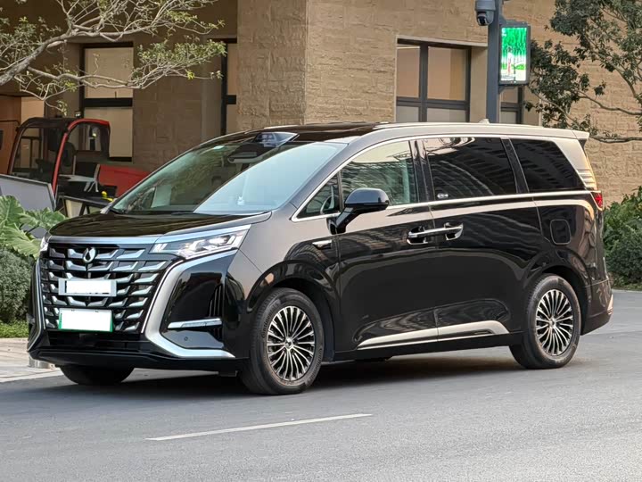 Фото 1 - Denza D9