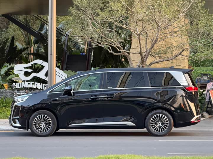 Фото 2 - Denza D9