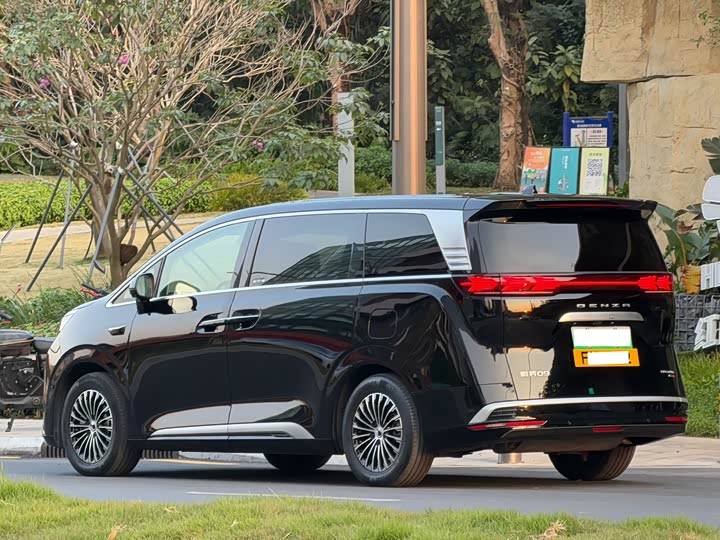 Фото 3 - Denza D9