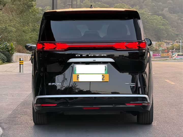 Фото 4 - Denza D9