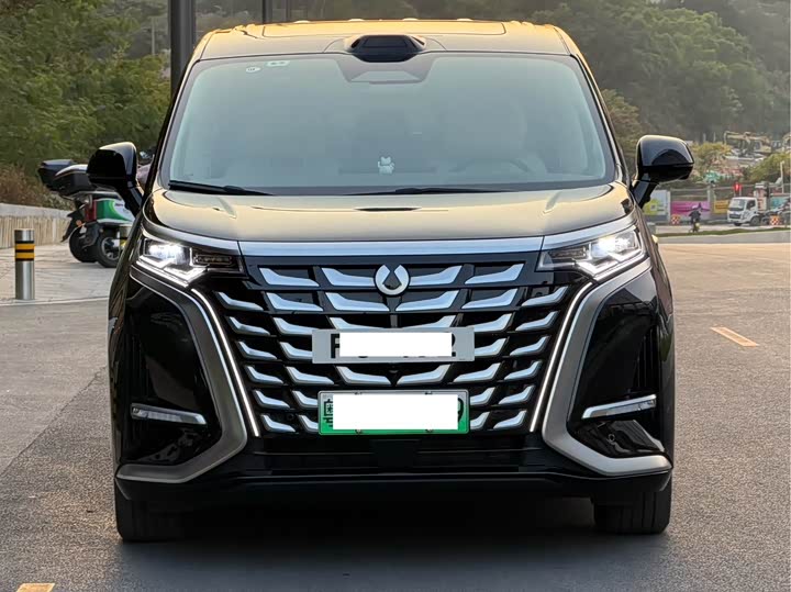 Фото 7 - Denza D9