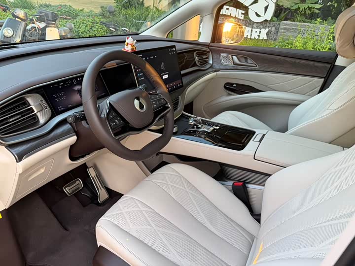 Фото 8 - Denza D9