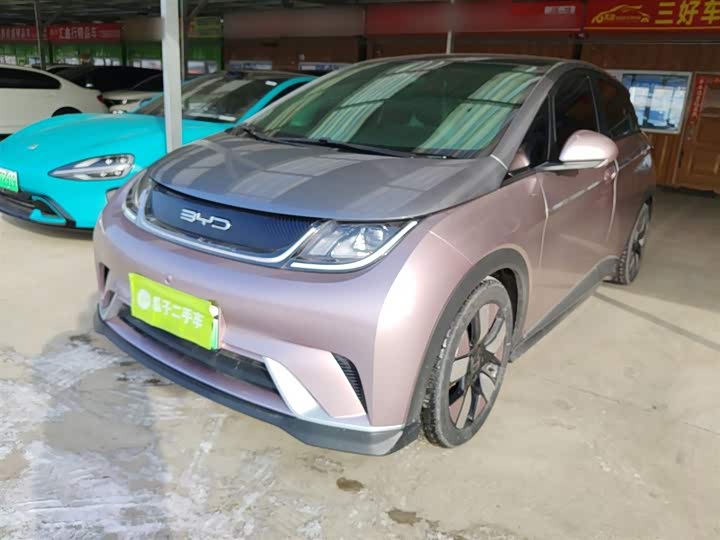 Фото 1 - BYD Dolphin