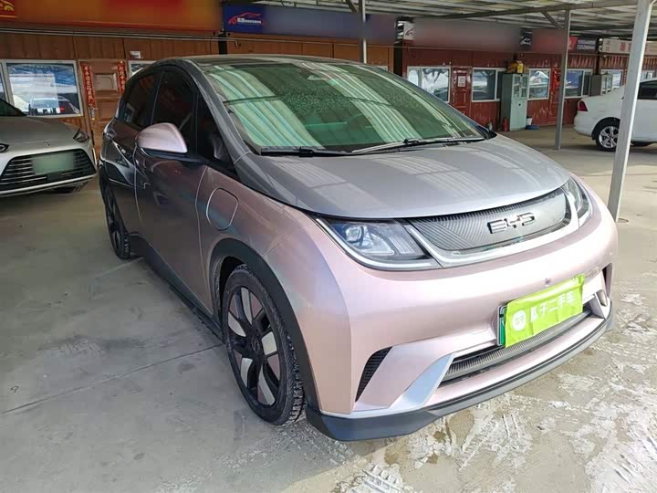 Фото 4 - BYD Dolphin