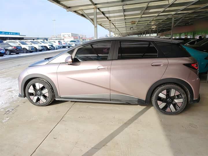 Фото 5 - BYD Dolphin