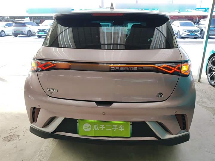 Фото 6 - BYD Dolphin