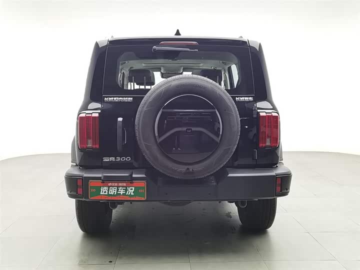 Фото 4 - Tank 300