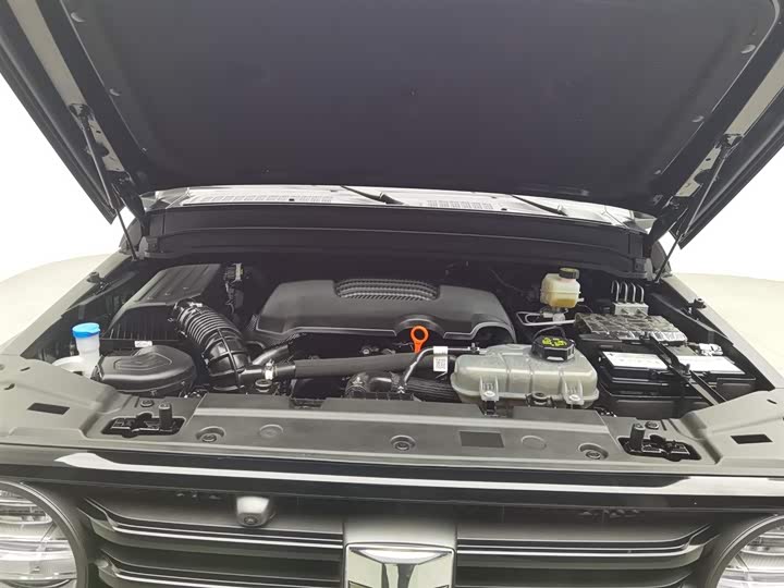 Фото 6 - Tank 300