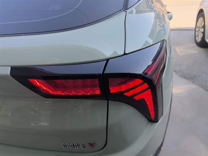 Фото 8 - Hozon V