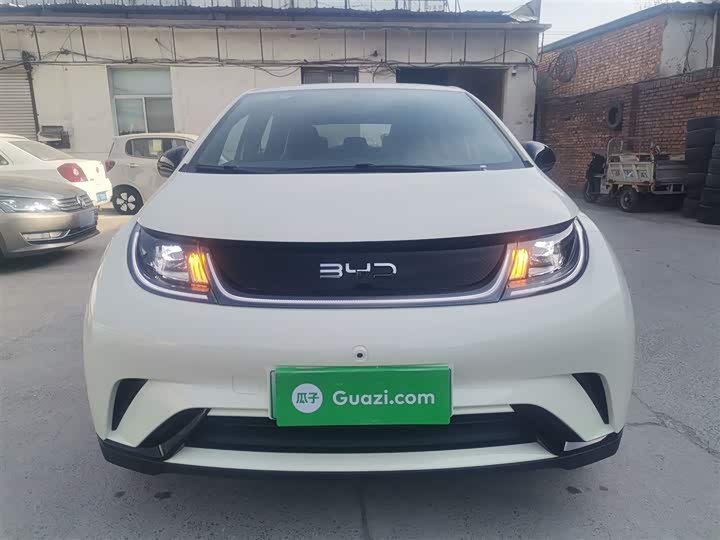 Фото 3 - BYD Dolphin