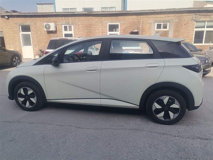 Фото 5 - BYD Dolphin