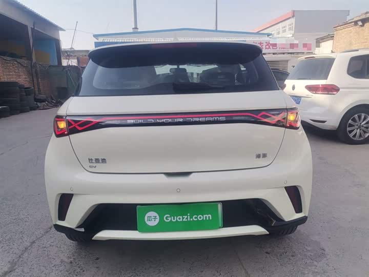 Фото 6 - BYD Dolphin