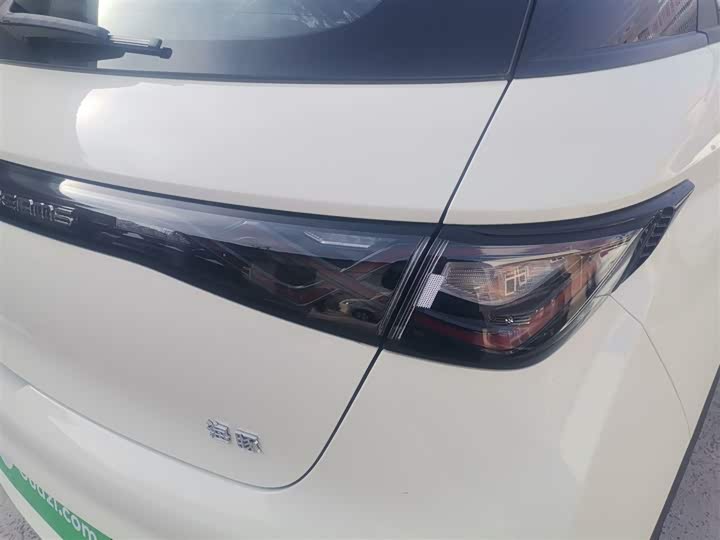 Фото 8 - BYD Dolphin