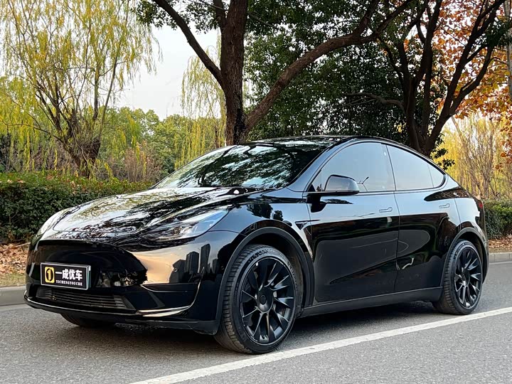 Фото 1 - Tesla Model Y