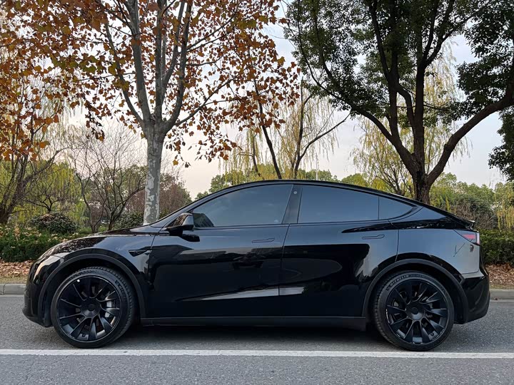 Фото 2 - Tesla Model Y