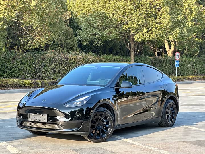 Фото 1 - Tesla Model Y