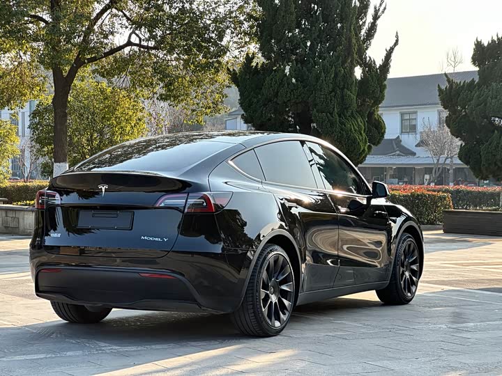 Фото 5 - Tesla Model Y