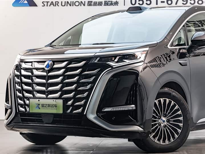 Фото 2 - Denza D9