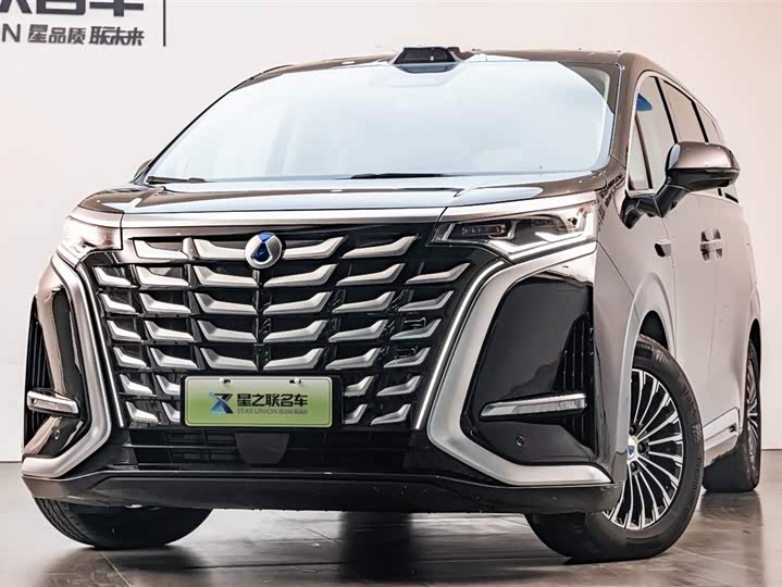 Фото 3 - Denza D9