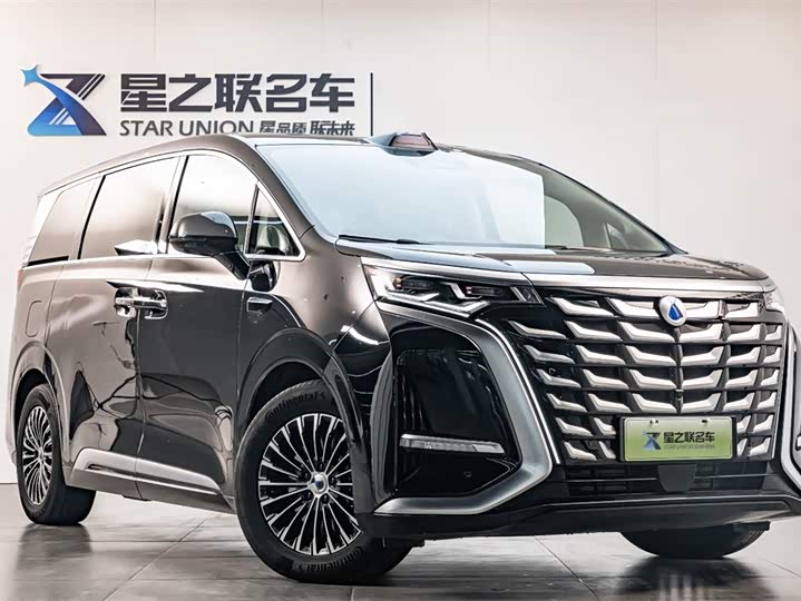 Фото 5 - Denza D9