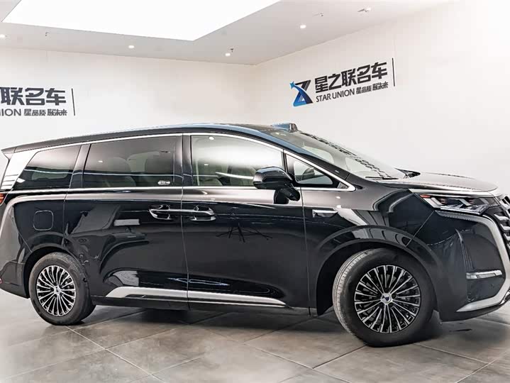 Фото 6 - Denza D9