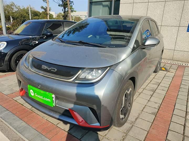 Фото 2 - BYD Dolphin