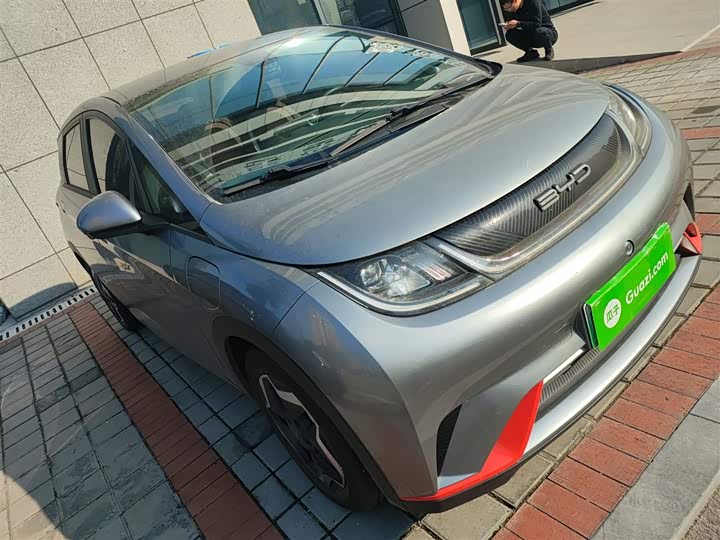 Фото 4 - BYD Dolphin