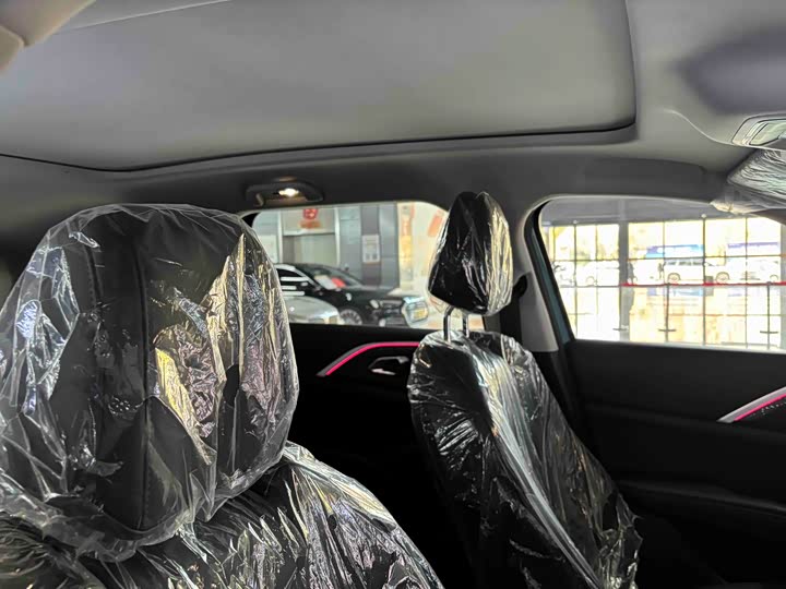 Фото 6 - Haval Ruge Max