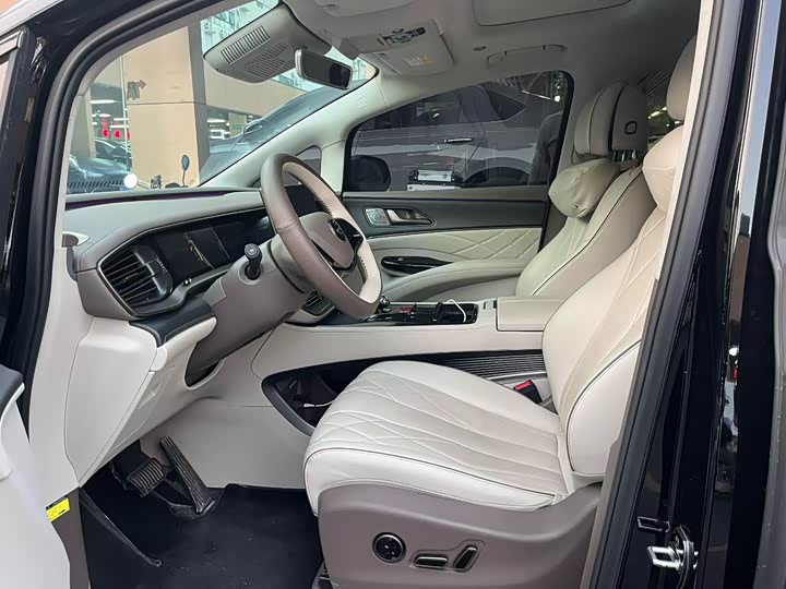 Фото 4 - Denza D9