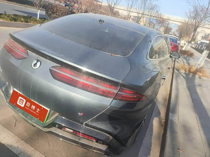 Фото 3 - Denza Z9