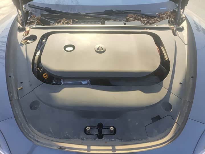 Фото 5 - Denza Z9