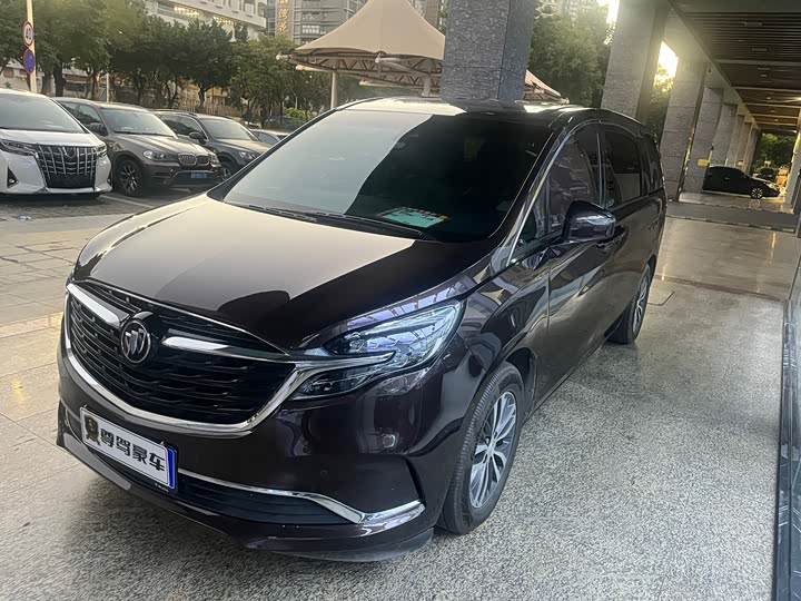 Фото 1 - Buick GL8 ES