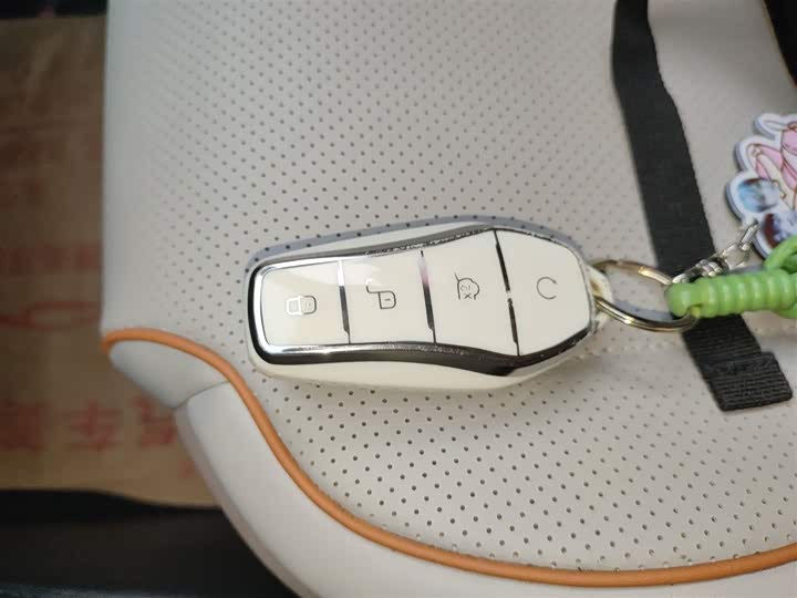 Фото 9 - BYD Qin Plus