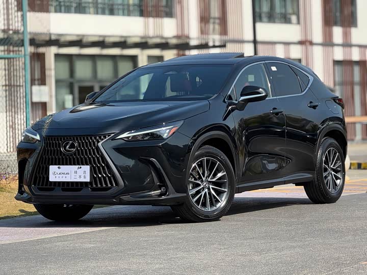 Фото 1 - Lexus NX