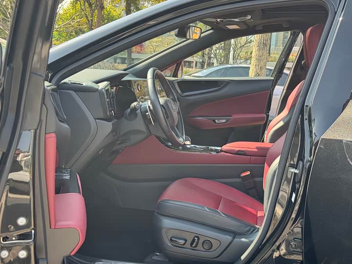 Фото 5 - Lexus NX