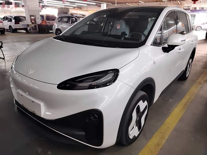 Фото 2 - BAIC Arcfox Kaola S