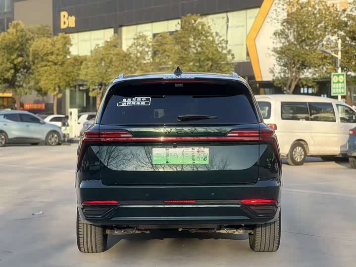 Фото 8 - Wey Lanshan