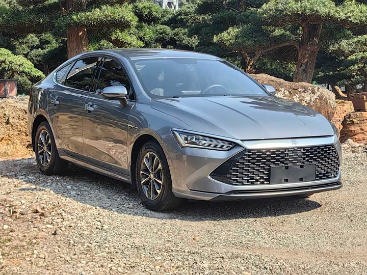 Фото 4 - BYD Qin Plus