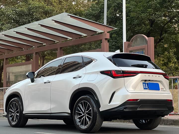 Фото 3 - Lexus NX