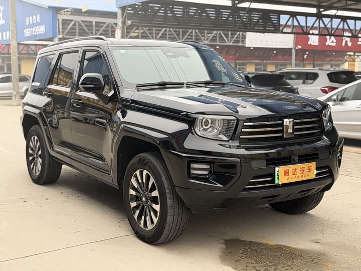 Фото 3 - Tank 700 Hybrid