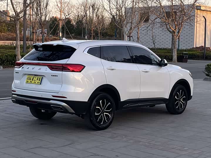 Фото 4 - Haval H6
